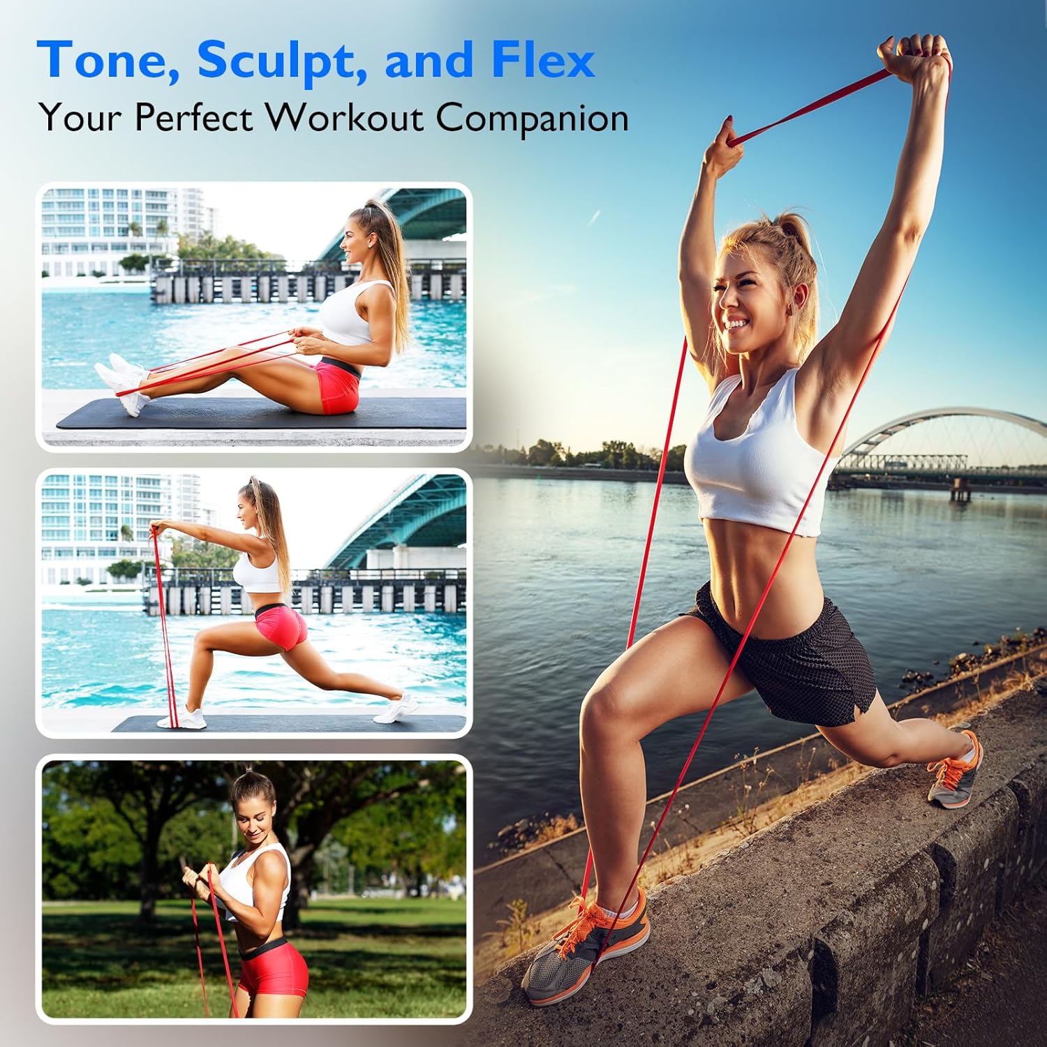 FitBeast Resistance Bands Set, 5 Levels Pull Up Bands for CrossFit, Powerlifting, Muscle Building, Home Gym Workout, Stretching, Stretch Bands with Door Anchor & Carry Bag - Image 6